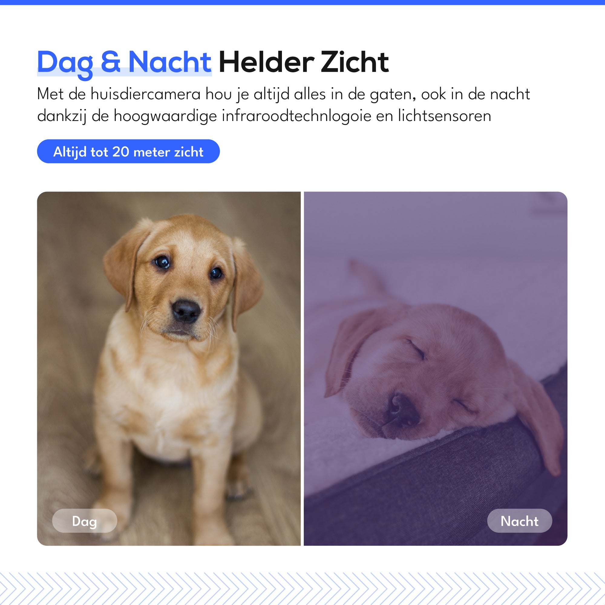 Teceye Huisdiercamera
